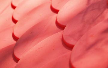 Kingsnorth plastic roof costs